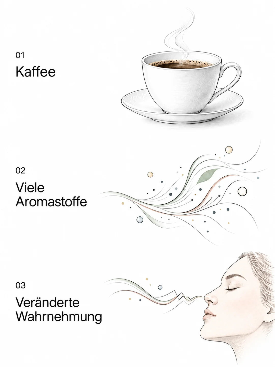 Illustration in drei Schritten: Kaffee, viele Aromastoffe und eine veränderte Wahrnehmung.